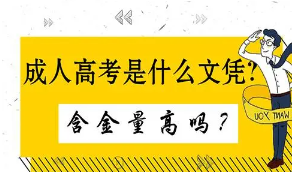 2021年成人高考哪些專業(yè)對口公務(wù)員考試呢？